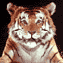 Yarikeso1997