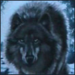 1mba_Wolf